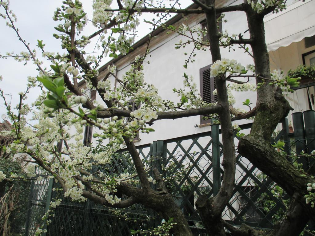 Dimora & Arte B&B Canneto sull'Oglio Exterior photo
